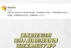 娱乐圈吃瓜运营模式,吃瓜运营模式背后的秘密与技巧