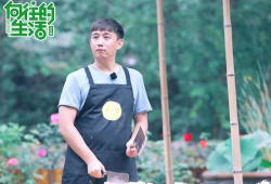 吃瓜爆料刘宪华何炅,娱乐圈幕后真相曝光